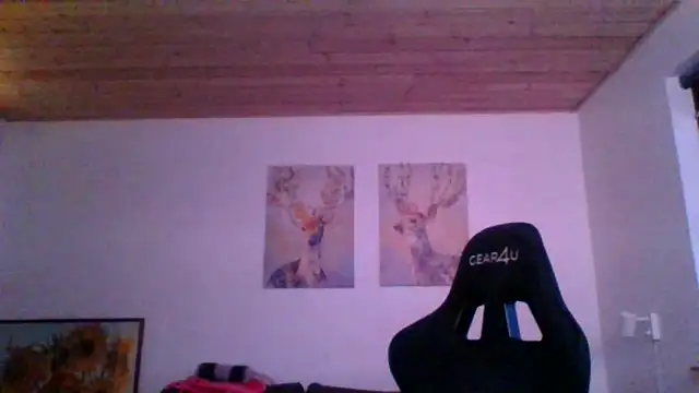 Snapshot of Gotta1 chatting on January 17, 3:43 pm Gotta1 online show from January 17, 3:43 pm