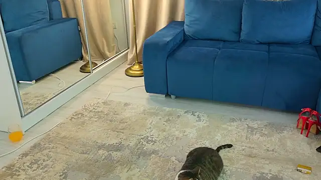 Addictive T online show from February 12, 4:54 am