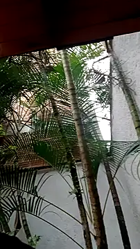 helen kinett online show from December 27, 10:16 pm