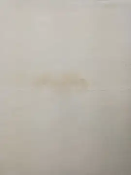 Rina777o online show from December 30, 8:36 pm