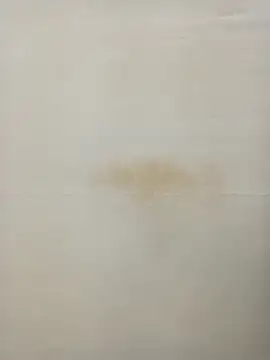 Rina777o online show from January 27, 6:31 pm