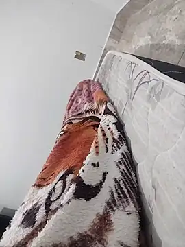 lm279 online show from February 1, 8:18 am