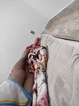 lm279 online show from February 2, 10:49 pm