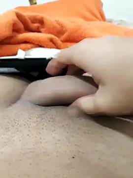 lm279 online show from November 23, 1:33 pm