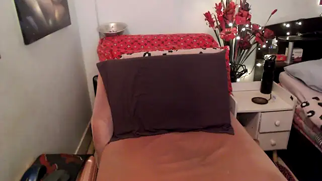 Snapshot of transagera chatting on November 23, 1:38 am transagera online show from November 23, 1:38 am