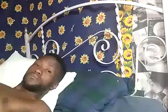 bull Giant online show from December 10, 4:56 am