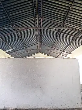 bull Giant online show from December 24, 2:44 pm