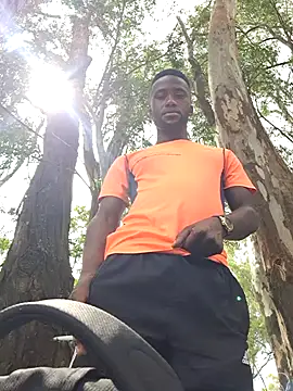 bull Giant online show from December 30, 7:15 am