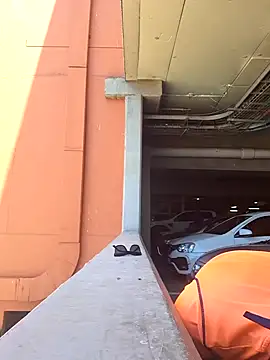 bull Giant online show from December 30, 11:15 am