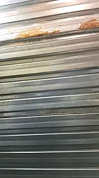 bull Giant online show from January 30, 9:36 pm