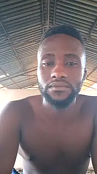 bull Giant online show from February 12, 4:33 pm