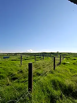 bull Giant online show from February 22, 3:03 pm