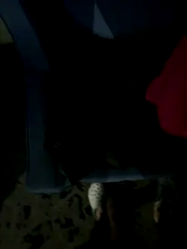 Snapshot of JosephAKenwood chatting on December 2, 1:39 pm JosephAKenwood online show from December 2, 1:39 pm