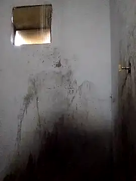 Snapshot of Percybr4561 chatting on November 1, 1:13 pm Percybr4561 online show from November 1, 1:13 pm