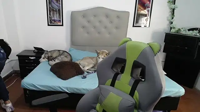 Nalaa Sc online show from March 1, 4:26 am