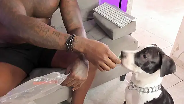 Snapshot of Dvid_Rullers chatting on September 16, 12:50 pm Dvid Rullers online show from September 16, 12:50 pm