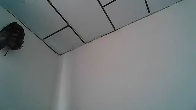 Alphadavid 23 online show from April 30, 4:02 pm