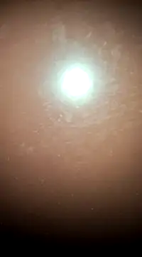 tall nangu online show from February 21, 6:04 pm