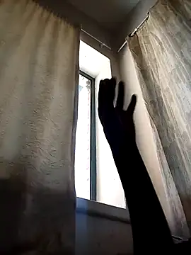 Cocowett online show from October 10, 12:26 pm