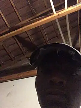 thekidrose online show from December 2, 5:35 am