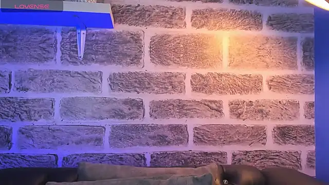 noah ricci online show from October 14, 12:50 pm