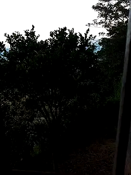 Snapshot of AuroraBon chatting on December 10, 11:22 am AuroraBon online show from December 10, 11:22 am