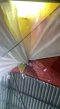 Cesywet online show from February 7, 8:33 am