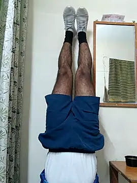 Wild-Honey online show from March 3, 3:52 am