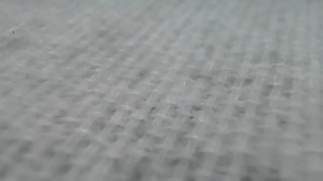 Snapshot of _Zooee chatting on January 27, 4:22 pm Zooee online show from January 27, 4:22 pm