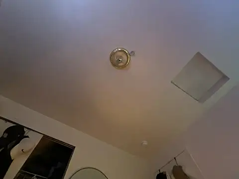 Snapshot of ganosex chatting on December 24, 7:17 am ganosex online show from December 24, 7:17 am