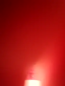 branquinho000007 online show from November 12, 4:40 pm