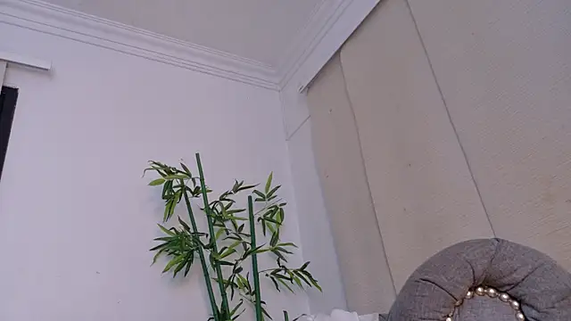 miranda villa online show from December 19, 12:01 pm