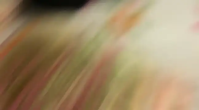 wild x predator online show from January 10, 4:09 pm