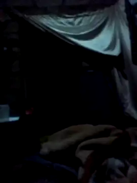 January256 online show from March 2, 10:38 pm