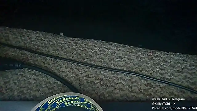 Snapshot of KaliTs chatting on November 22, 12:37 pm KaliTs online show from November 22, 12:37 pm