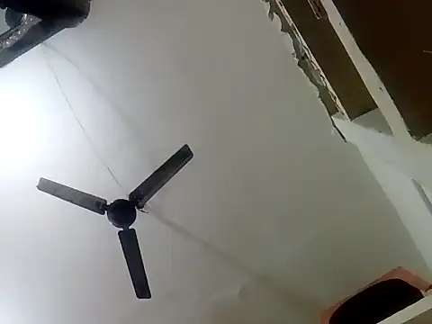 annaya sweet online show from February 10, 8:31 am