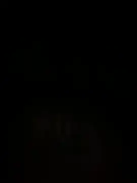 islandvybee55 online show from December 15, 7:02 am