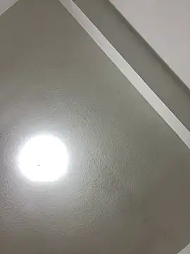 islandvybee55 online show from January 3, 8:00 am