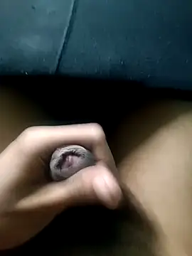 Snapshot of AloneDick chatting on November 17, 9:48 am AloneDick online show from November 17, 9:48 am