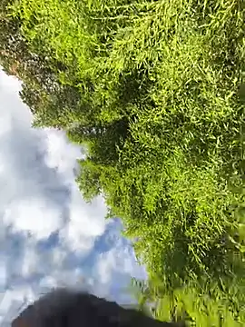 VioletaSubmissive online show from April 20, 10:11 pm