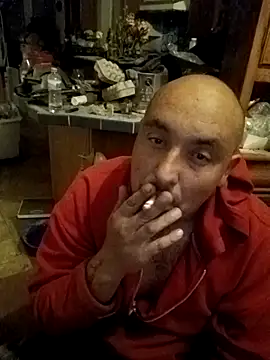 wilsons12 online show from November 24, 2:55 am