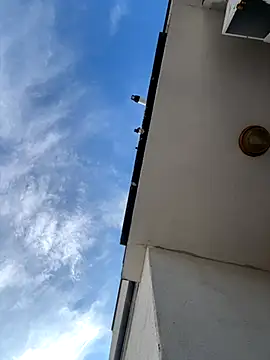 Snapshot of eddy355 chatting on November 9, 9:51 am eddy355 online show from November 9, 9:51 am