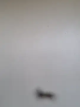 BriannaVincent online show from January 7, 4:59 am