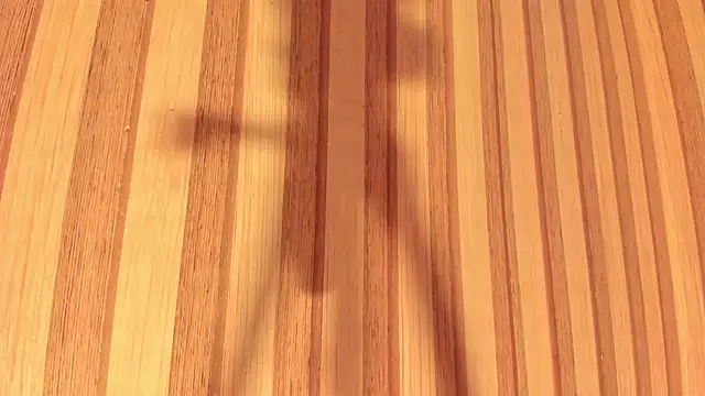 Snapshot of Daisy__rose chatting on February 22, 11:02 am Daisy rose online show from February 22, 11:02 am