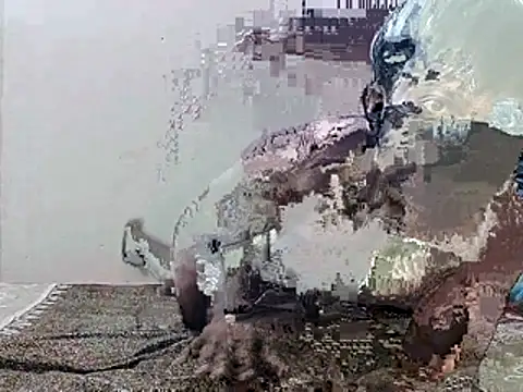 HunkyAriyan online show from November 11, 1:44 pm