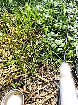 huzi518 online show from September 27, 3:33 am