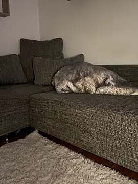 Snapshot of godspot_ chatting on October 30, 8:20 pm godspot  online show from October 30, 8:20 pm