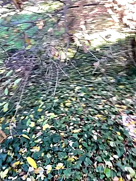 Snapshot of Lucascacaca chatting on December 4, 2:04 pm Lucascacaca online show from December 4, 2:04 pm