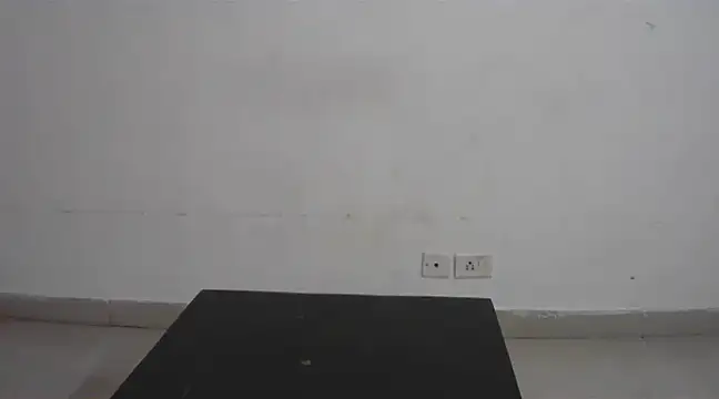 collage hoty online show from February 24, 4:47 pm