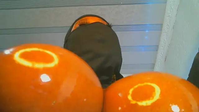 XPanther 24 online show from February 6, 10:32 pm